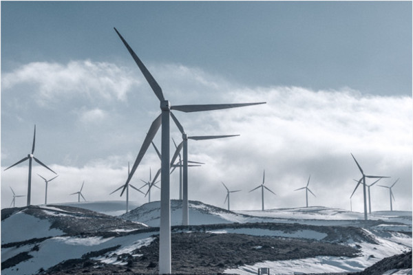 Riedl Project Petrochemical1